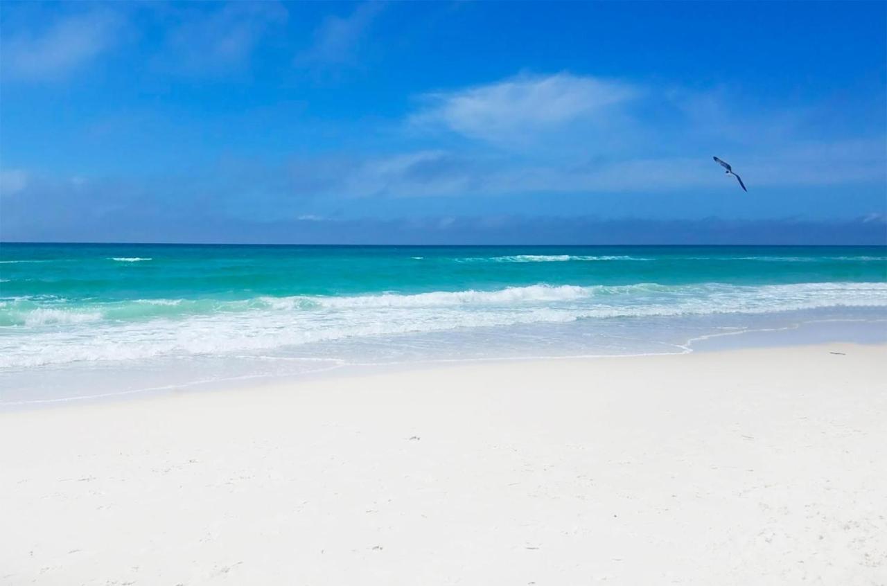 Horizon South 32a Holiday home Panama City Beach